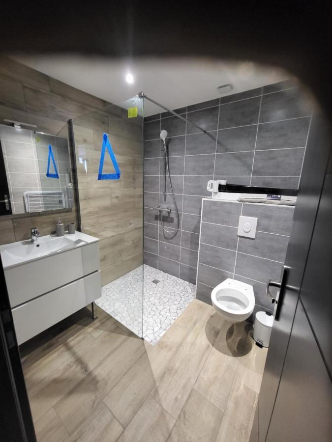Appartement Entierement Renove A Neuf 101 Saint-Etienne  Eksteriør billede